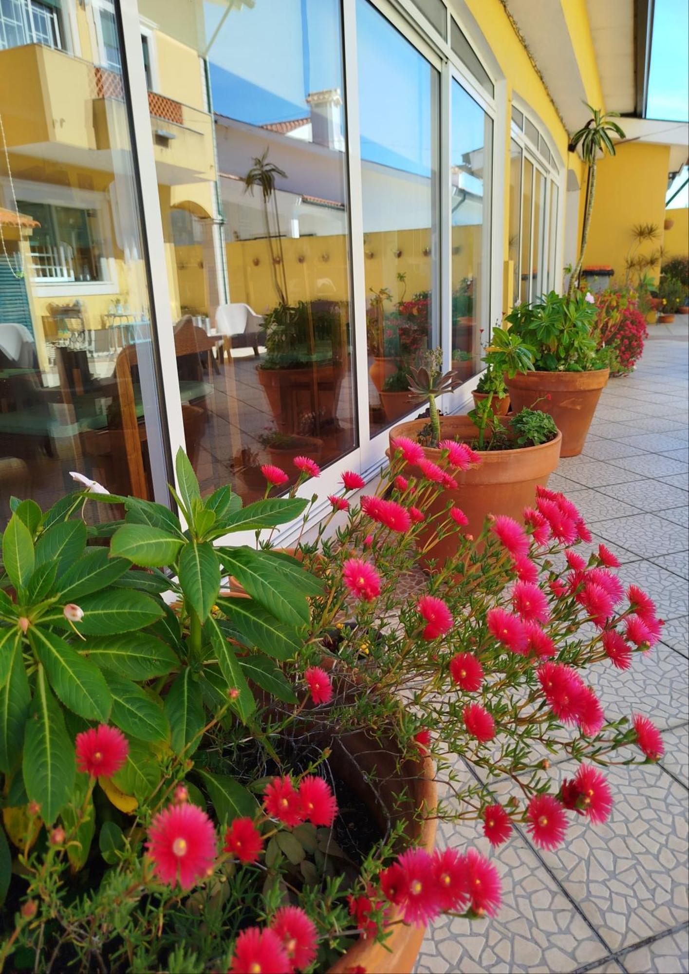 Hotel A Casa Da Ti Laura - Al Aveiro Zewnętrze zdjęcie